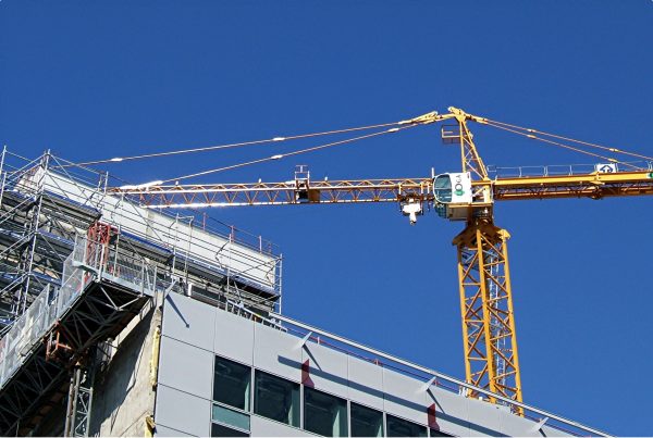grue